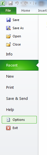 Excel2010 File Options